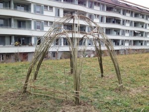 IMG_0513