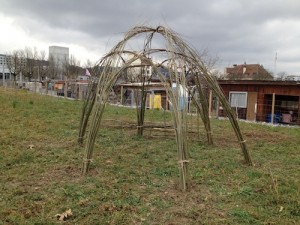IMG_0516