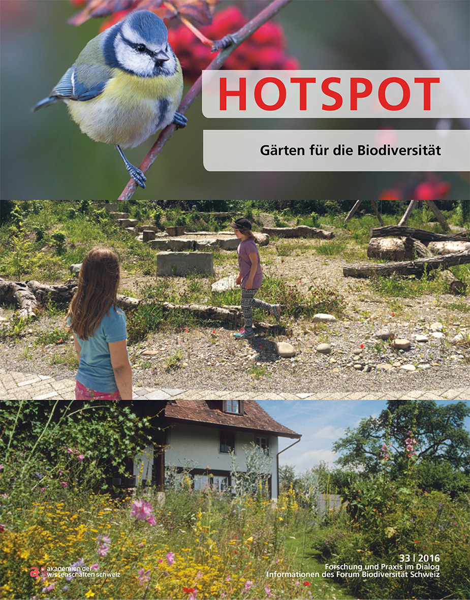 HOTSPOT 33-2016 DT WEB 1